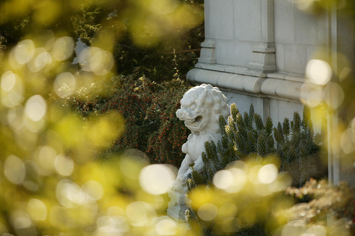 guardian lion statue in front of Durant Hall with greenery in foreground