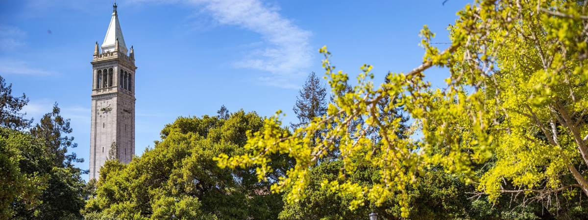 View of the Campanile and trees against a blue sky