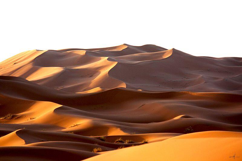 morning light on sand dunes